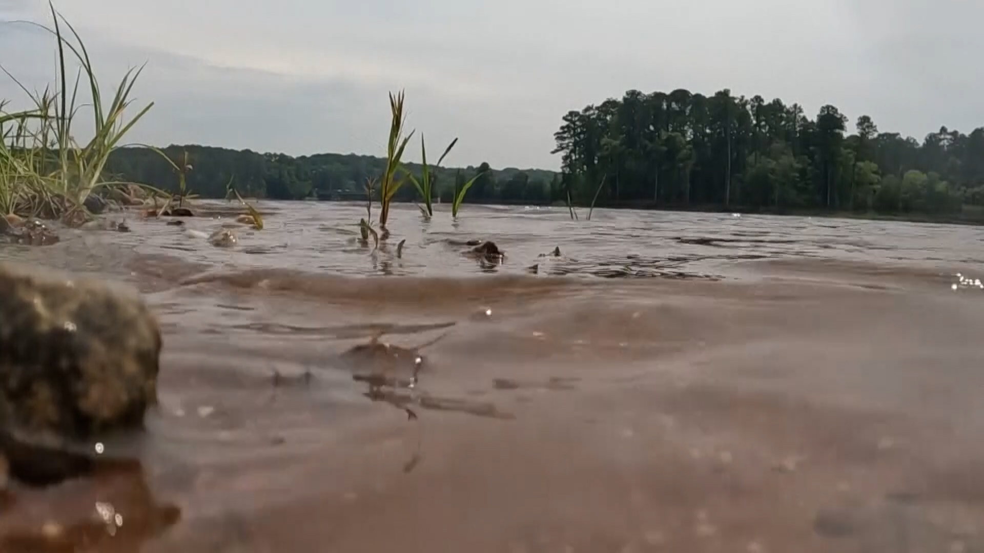 NC Teen Critically Ill from Rare Brain-Eating Amoeba: Safety Tips & Risks