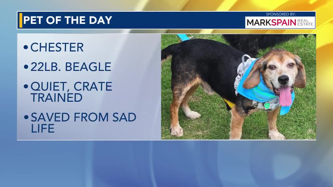 Pet of the Day for June 28, 2026