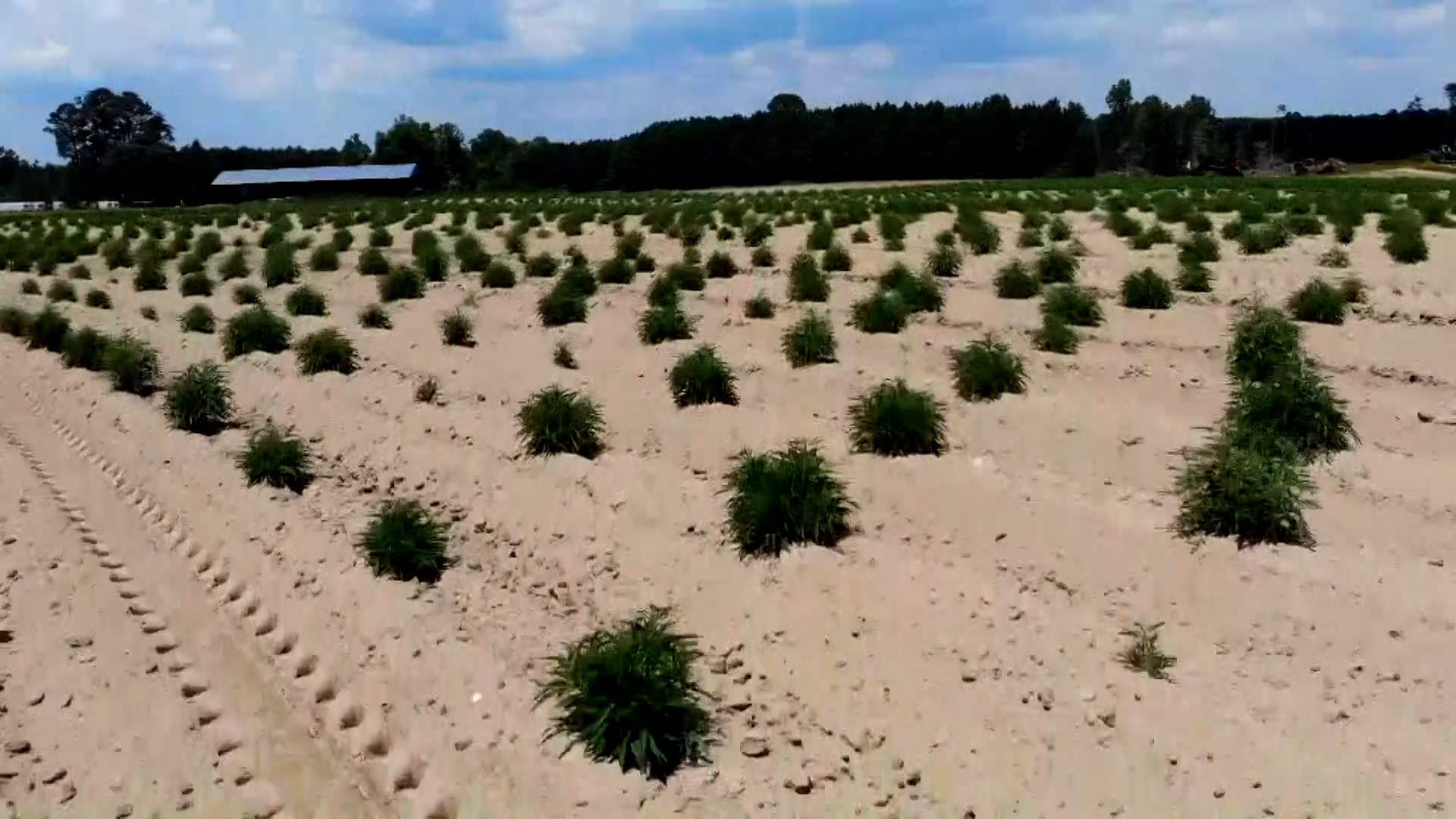 Farmers react to 'drops from heaven' and a new law to help mitigate drought